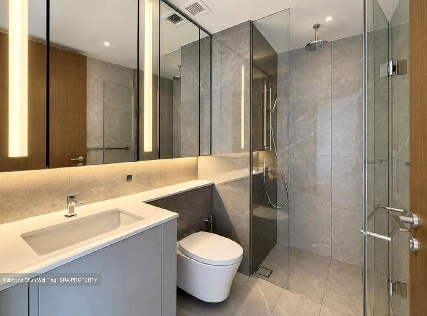 Grand Dunman (D15), Apartment #635948331